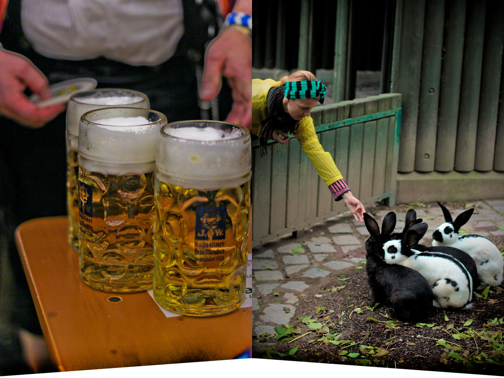 festivalul berii munchen