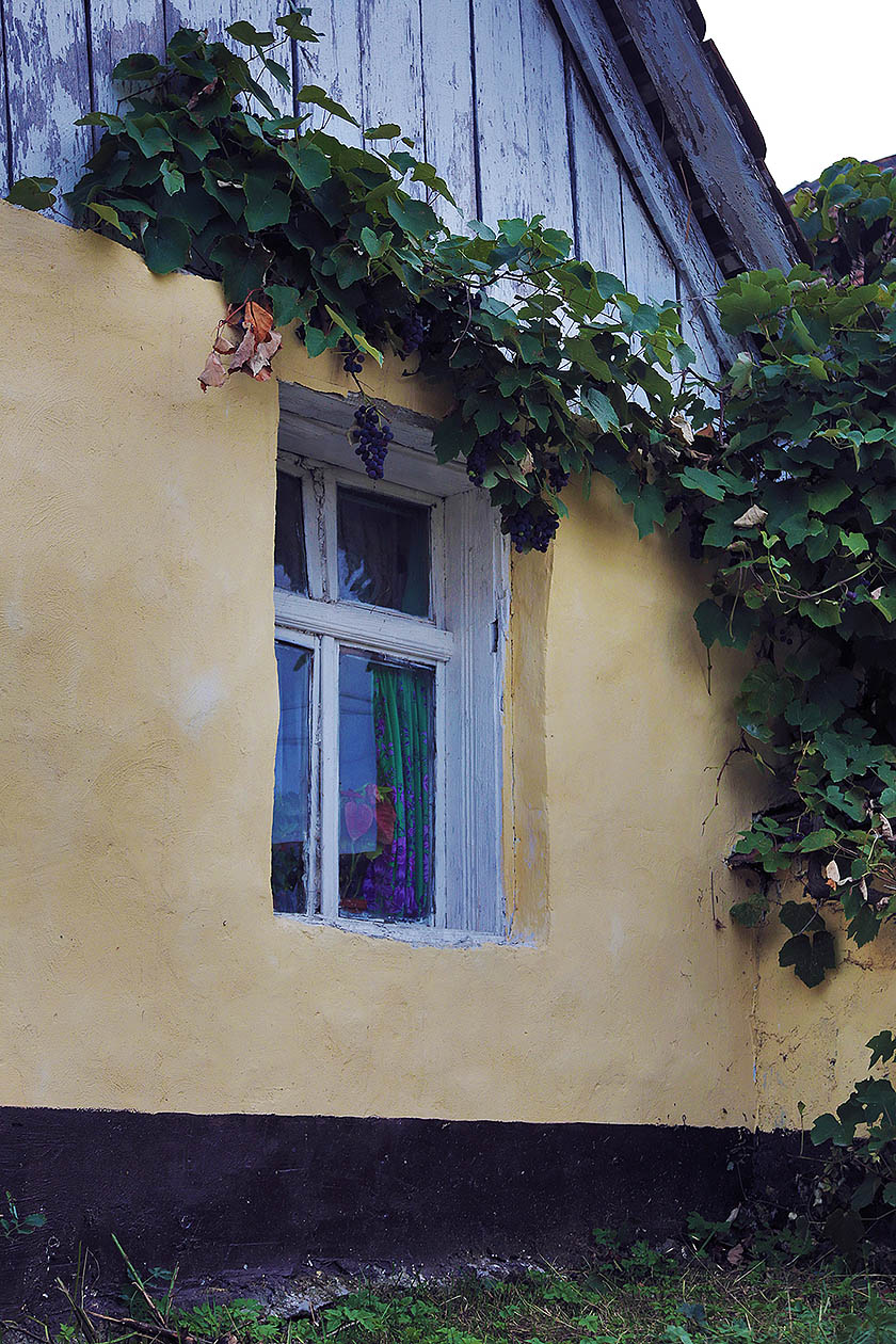 Arhitectura caselor traditionale din Cobor, Judetul Brasov