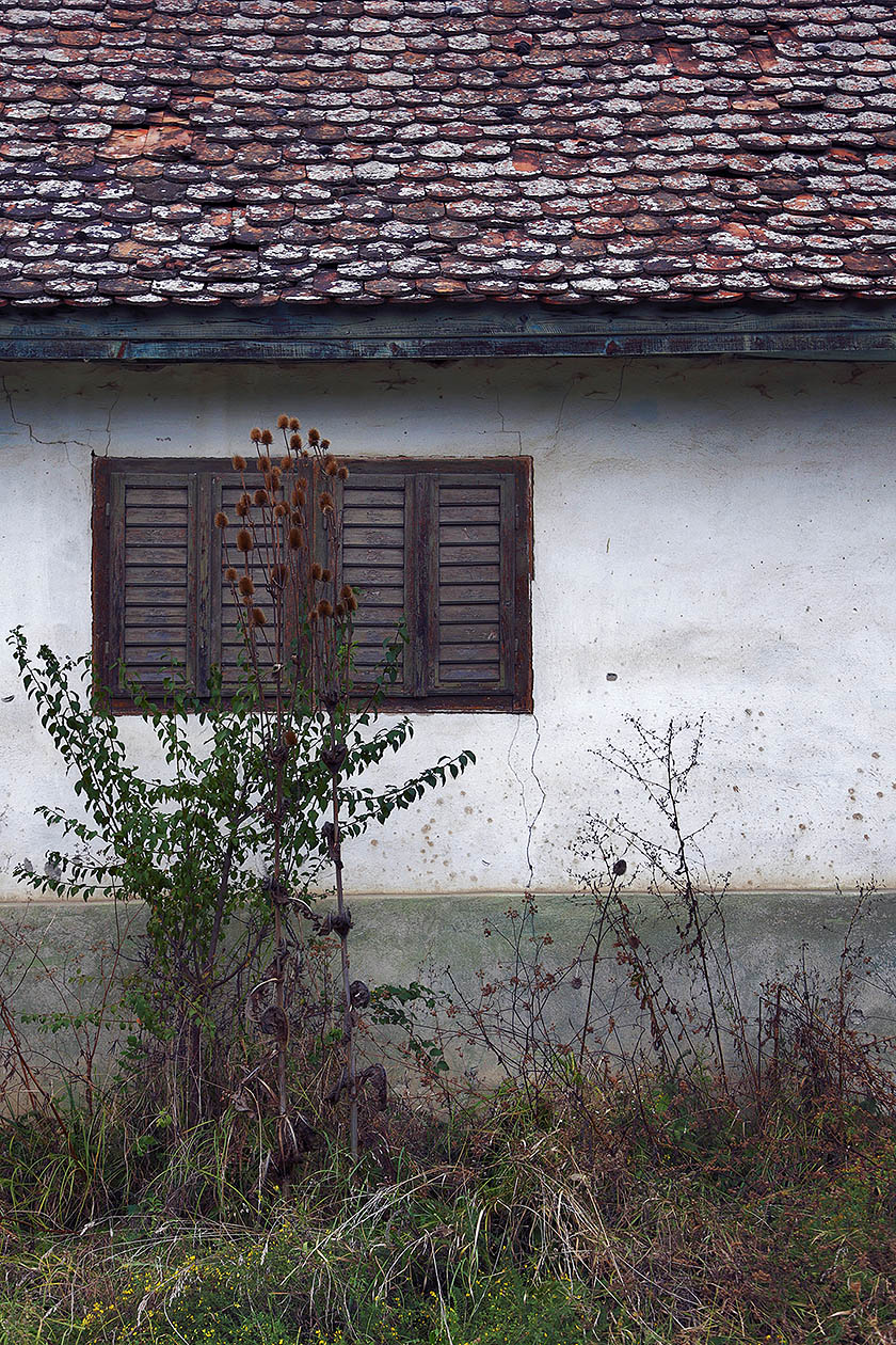Arhitectura caselor traditionale din Cobor, Judetul Brasov