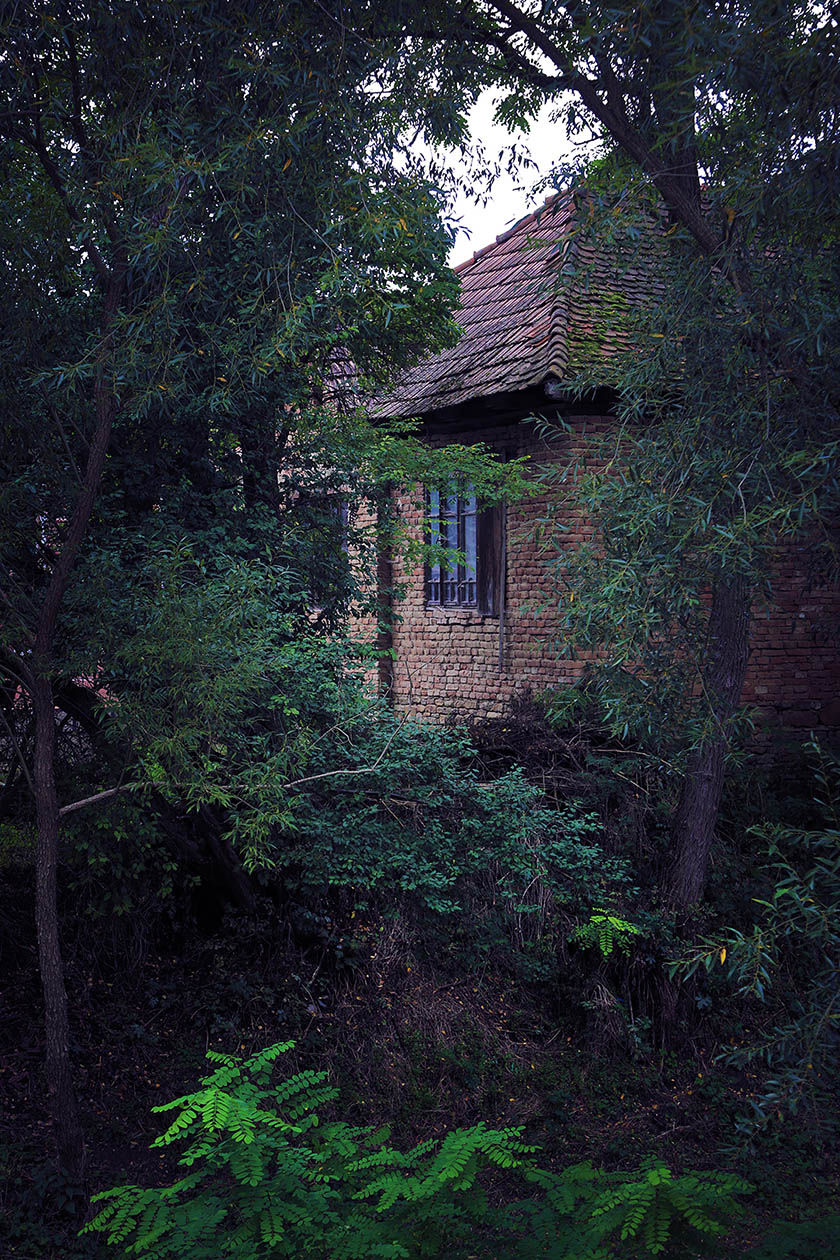 Arhitectura caselor traditionale din Cobor, Judetul Brasov