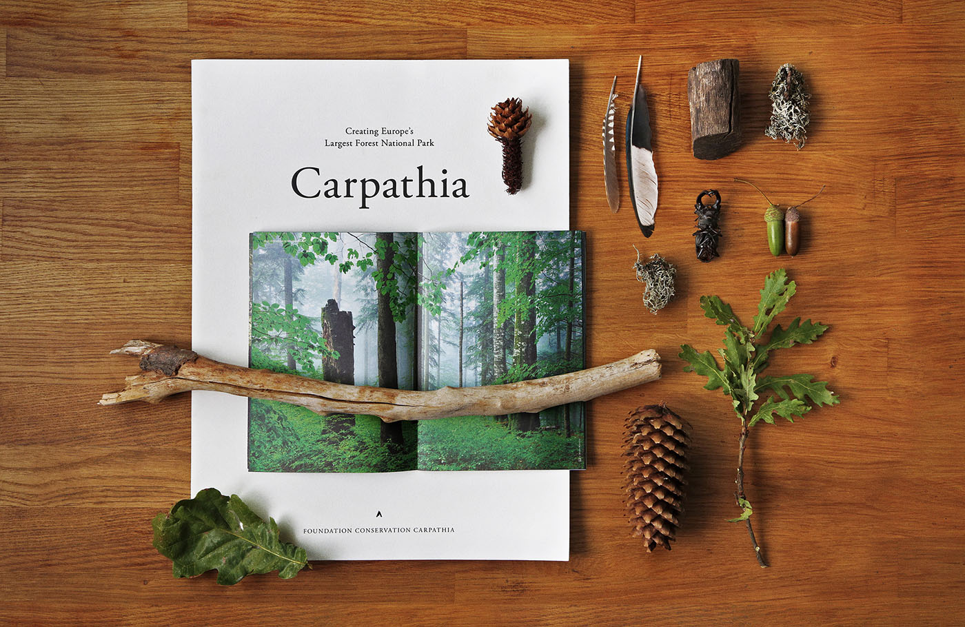 Ferma de Biodiversitate Cobor cu ajutorul ONG-ul Conservation Carpathia