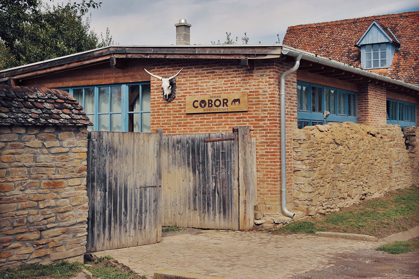 Ferma de Biodiversitate Cobor cu ajutorul ONG-ul Conservation Carpathia