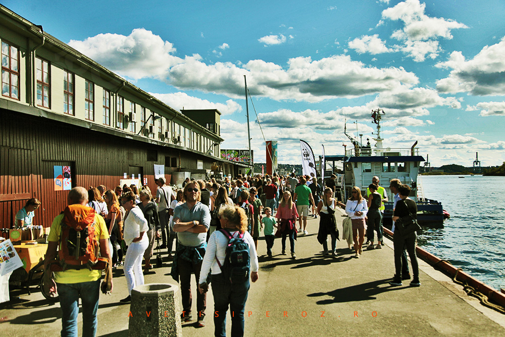 Sfaturi calatorie Oslo