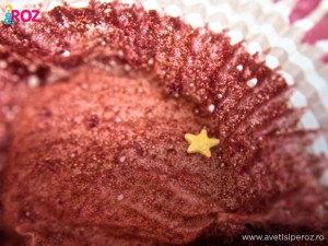 ambalaj-cupcake