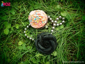 cupcake-si-accesorii