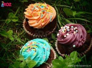 cupcakes-in-iarba.