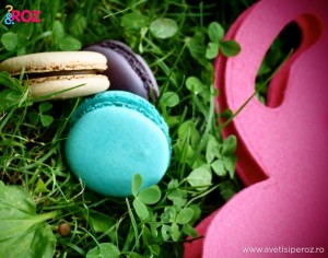 macarons-la-picnic