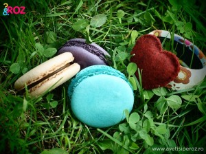 macarons-si-bratara-cu-inima.