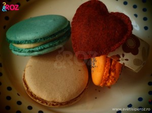 macarons-si-bratara-hand-made