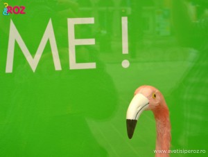 me pe verde