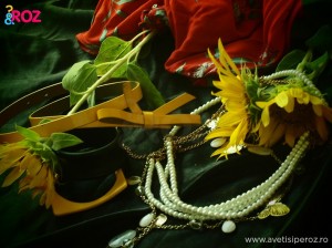 accesorii-si-floarea-soarelui