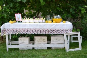 decor rustic cu limonada