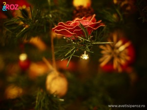 clama-hm-decoratie-brad.