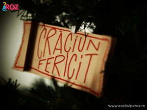 craciun fericit