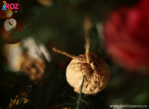 nuca-ornament-de-brad