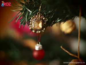ornament-brad-din-bijuterii