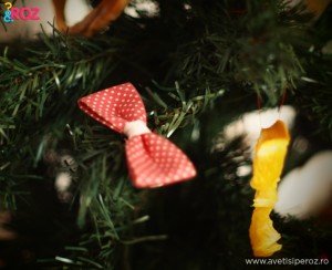 ornamente-brad.
