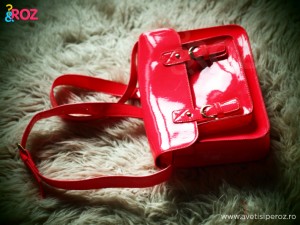 geanta roz six