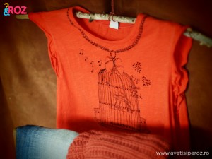 tricou-zara-cu-colivie