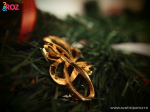 brosa-ornament-brad