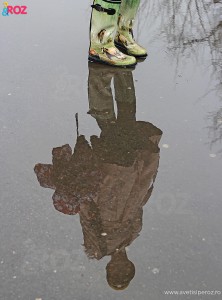 cizme de cauciuc cu cai