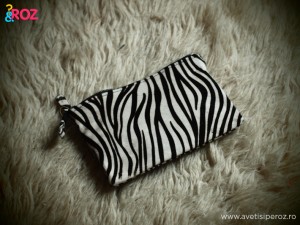 geanta-zebra-zara