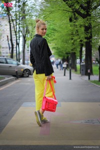 sacou zara si pantaloni cos