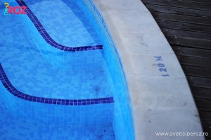 piscina bucuresti