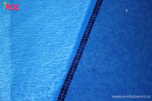 piscina oasis