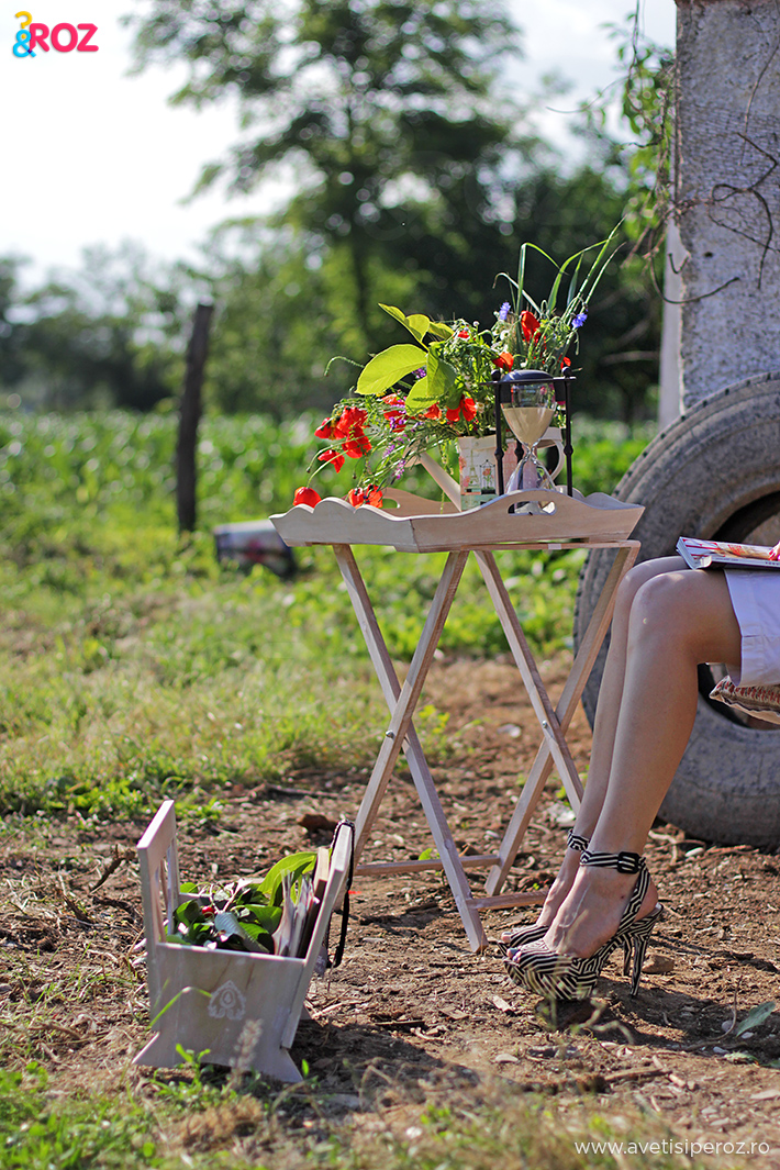 picnic in gradina