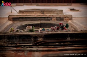 cladire roma