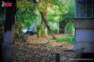 toamna in bucuresti