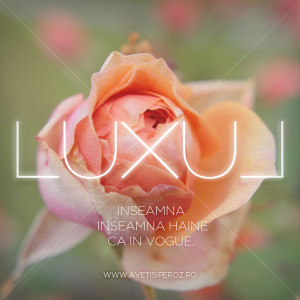 haine ca in vogue