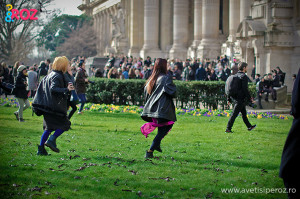 before chanel photographers