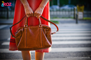 geanta maro zara
