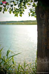 lac balotesti