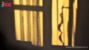 shadows and bra