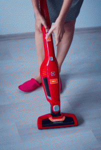 aspirator ergorapido electrolux
