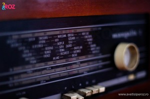 detaliu radio vechi mangalia