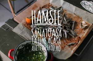 hamsii la cuptor