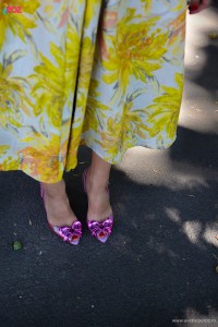 pantofi melissa roz