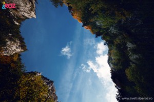 in natura