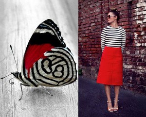nature vs fashion moodboard