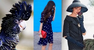 polka dots inspiration