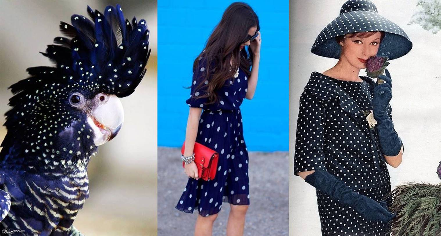 polka dots inspiration