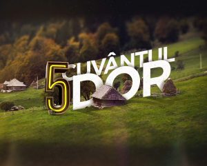 1 decembrie proiect aveti si pe roz