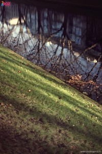 in vizita in dusseldorf