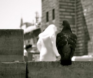 alb si negru in istanbul