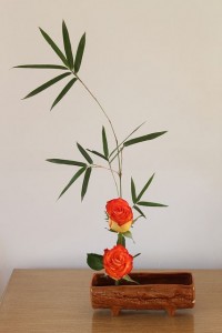 blog cu idei misto