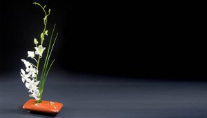 ikebana vs fashion